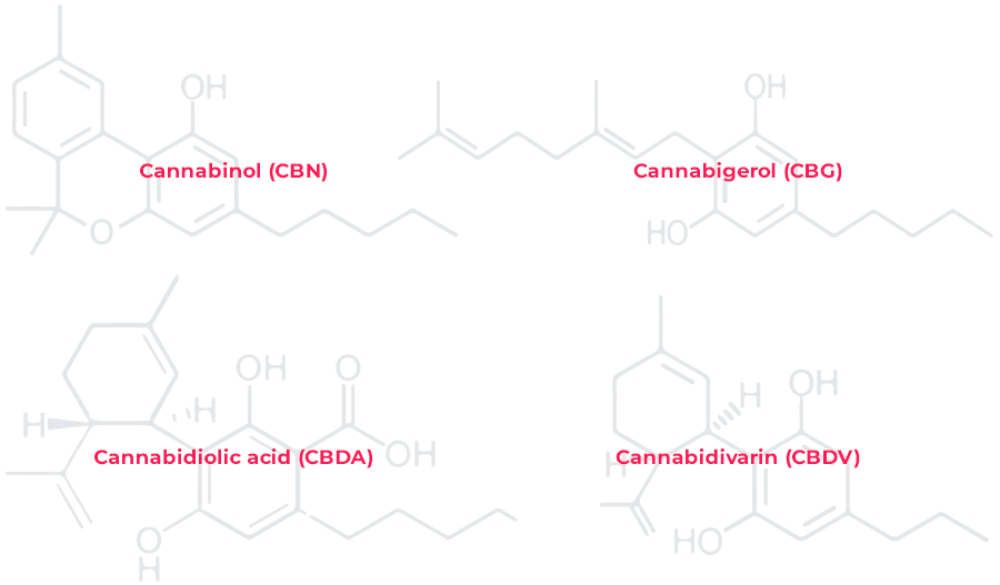 Cannabinol (CBN), Cannabigerol (CBG), Cannabidiolic acid (CBDA), Cannabidivarin (CBDV)