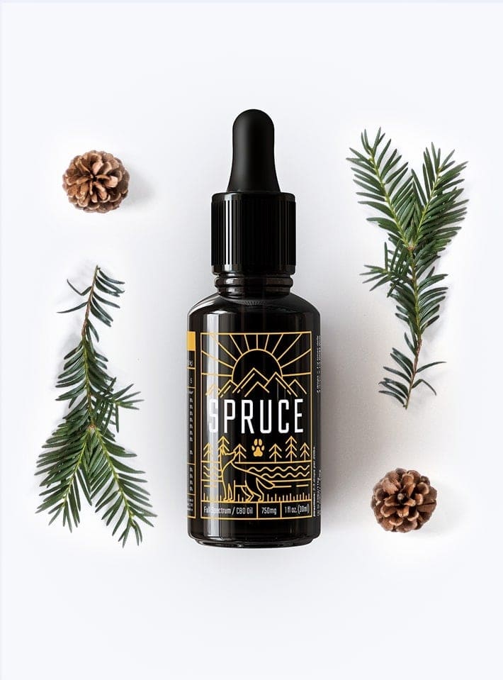 pine oil for dogs