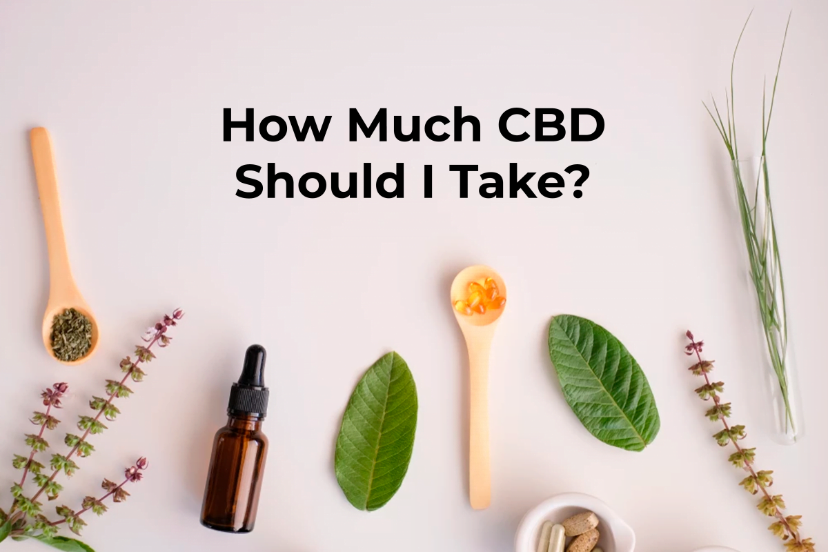 How Much Cbd Should I Take 4457